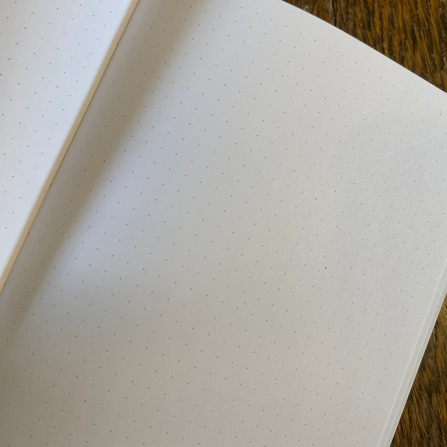 soft bound bullet journal notebook